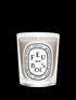 Feu De Bois / Wood Fire Candle